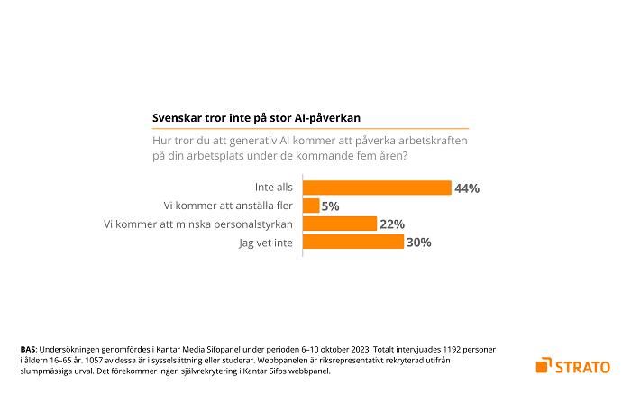 STRATO AI-undersökning