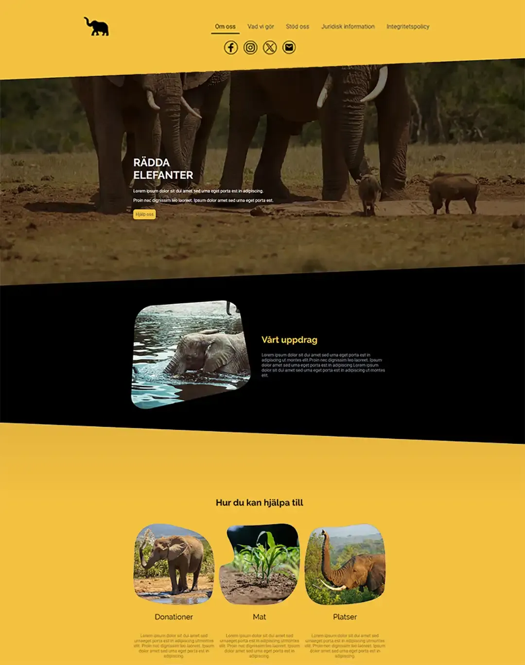 Förhandsgranskning: NGO Zoo-webbplats