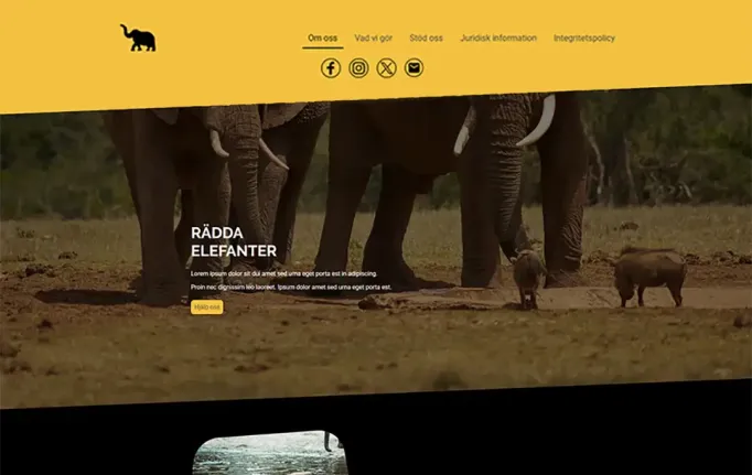 Förhandsgranskning: NGO Zoo-webbplats